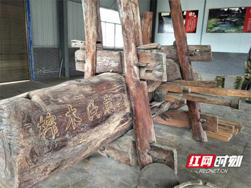 J9集团,油茶种植出产加工销售,植物油种植出产加工销售