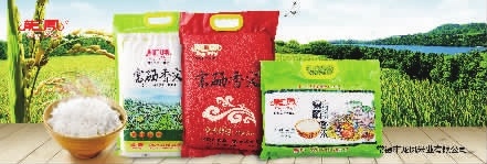J9集团,油茶种植出产加工销售,植物油种植出产加工销售 J9集团,油茶种植出产加工销售,植物油种植出产加工销售
