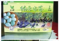 J9集团,油茶种植出产加工销售,植物油种植出产加工销售 J9集团,油茶种植出产加工销售,植物油种植出产加工销售
