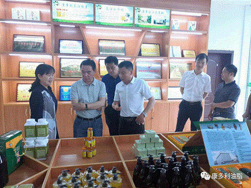 J9集团,油茶种植出产加工销售,植物油种植出产加工销售